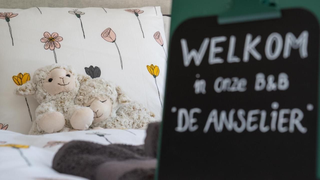 Bed and Breakfast De Anselier Ansen Zewnętrze zdjęcie
